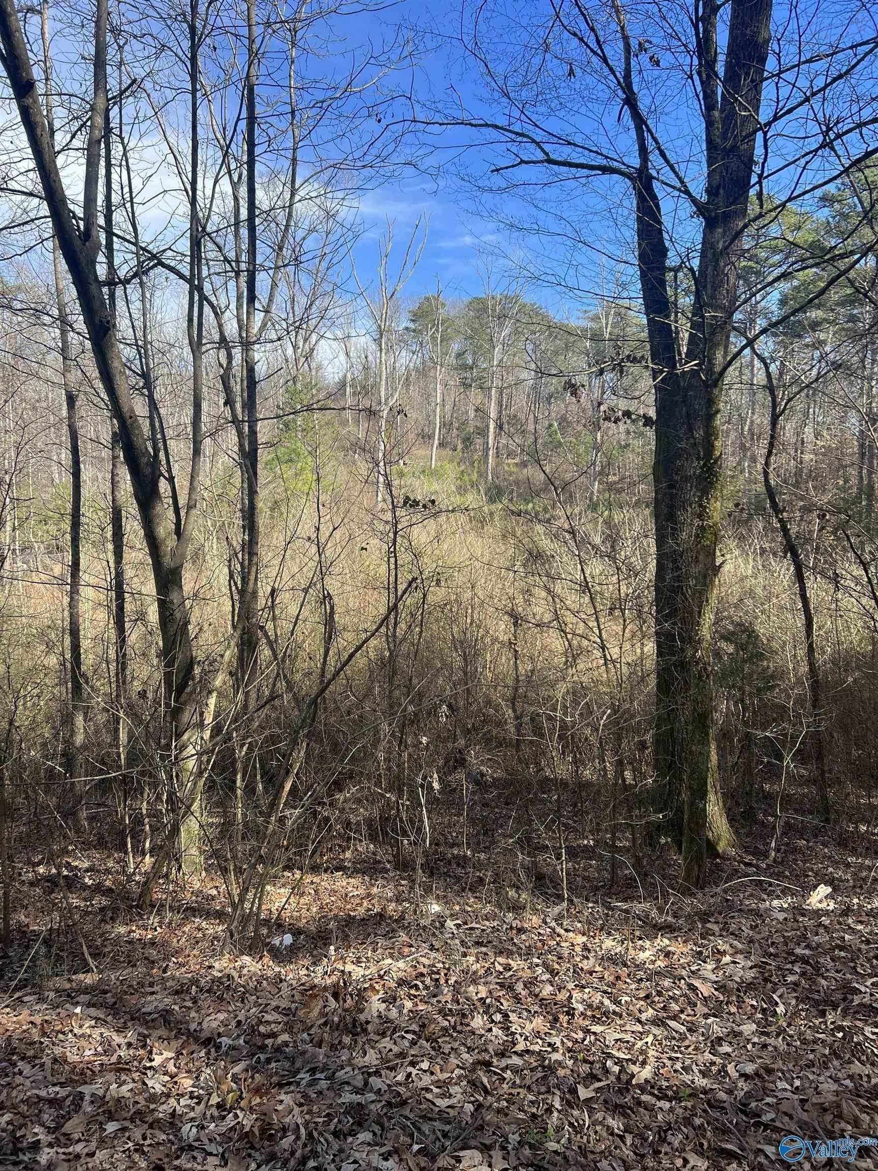 6. 40ac Lake Creek Drive