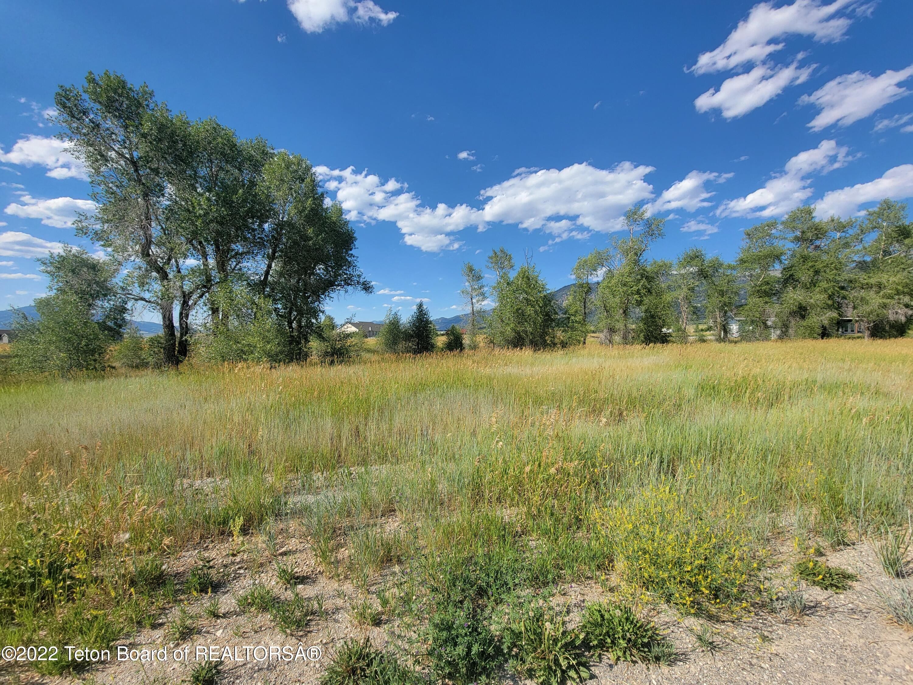 1. Lot 41 Caribou Loop