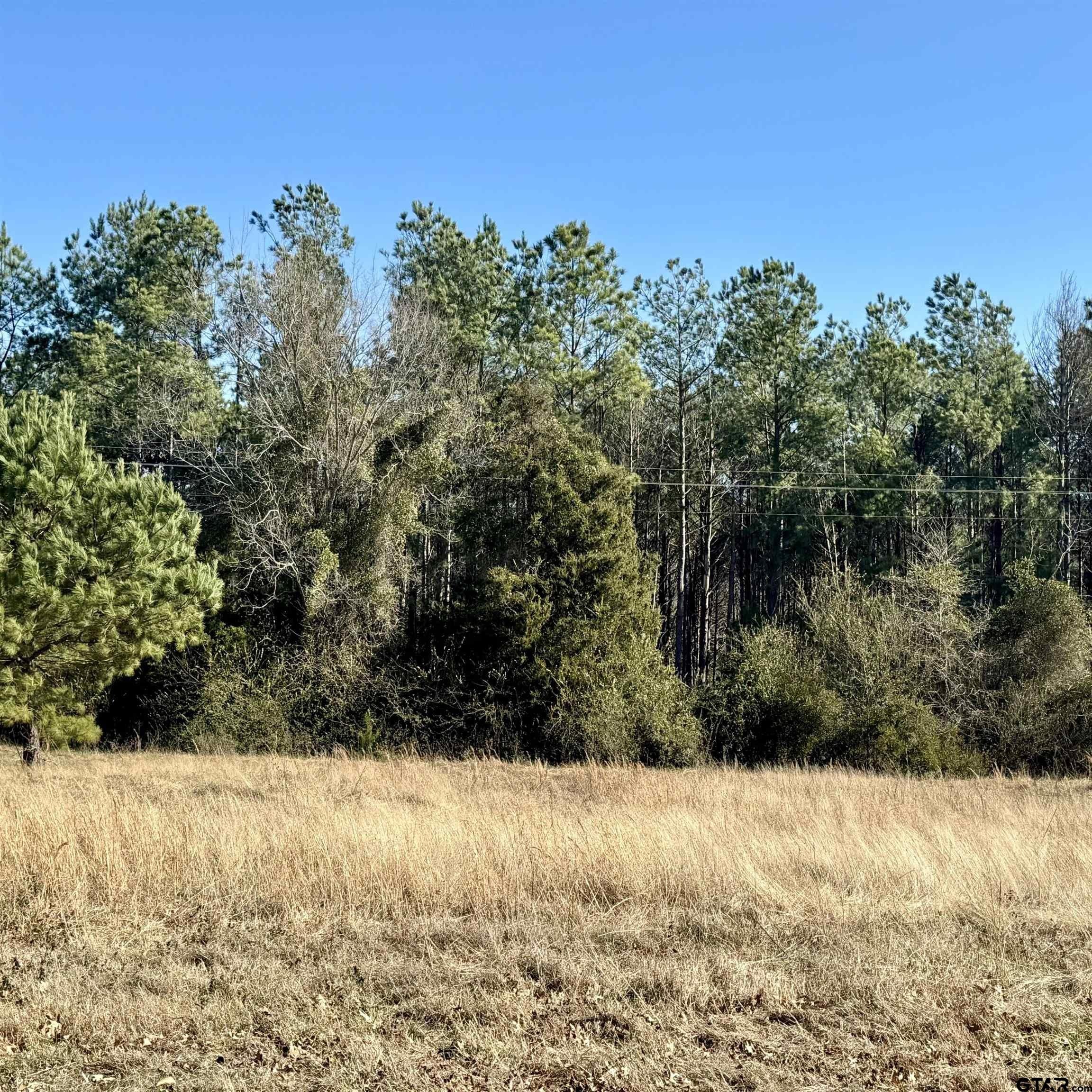 1. Lot 29 Twin Springs Trail