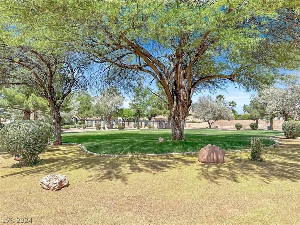 33. 2806 Barrel Cactus Drive