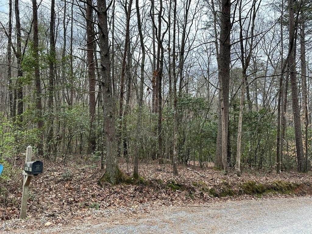 11. Lot 16 Garrett Branch Road