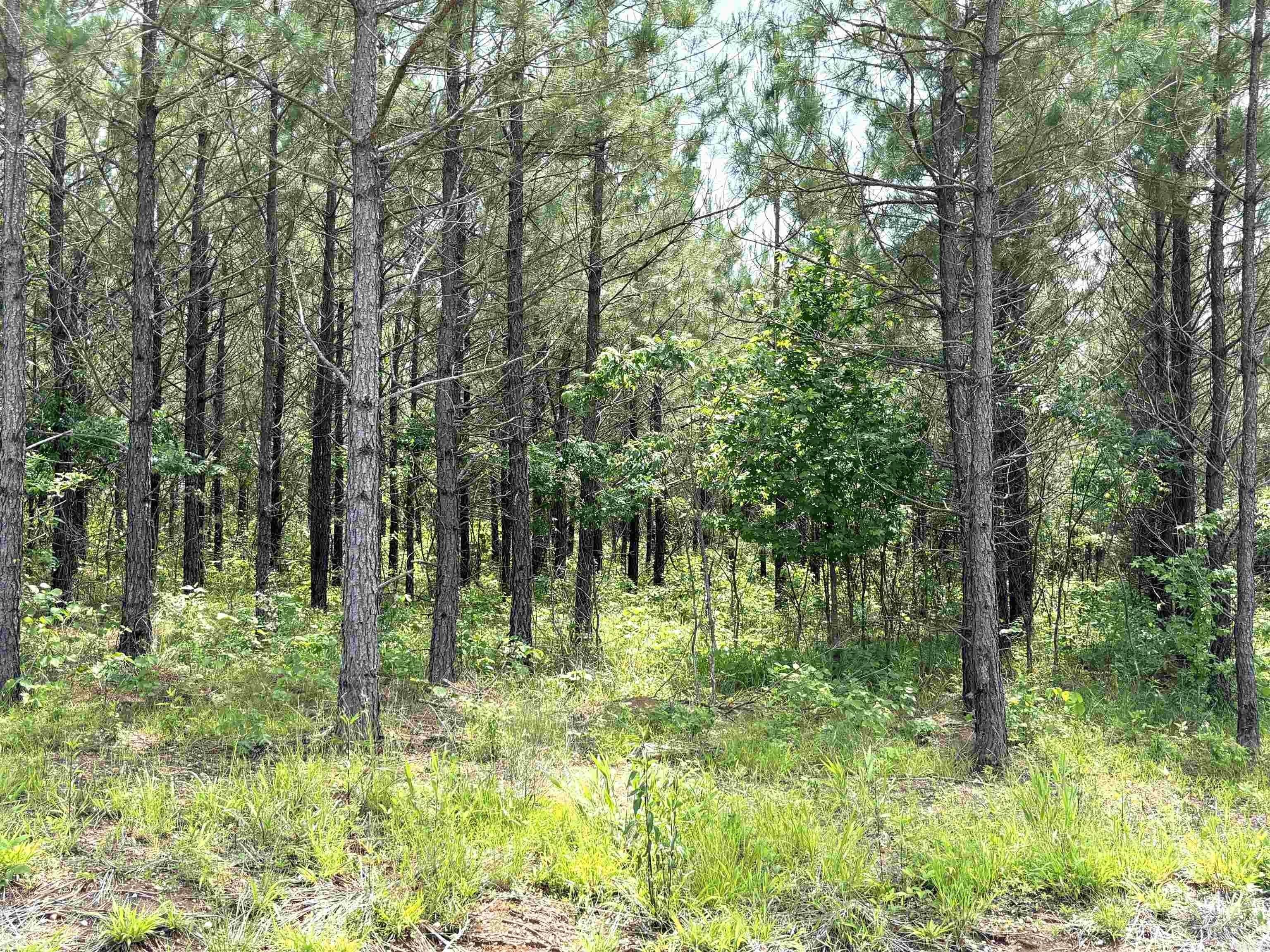 1. Lot 28 Grant County Road 763