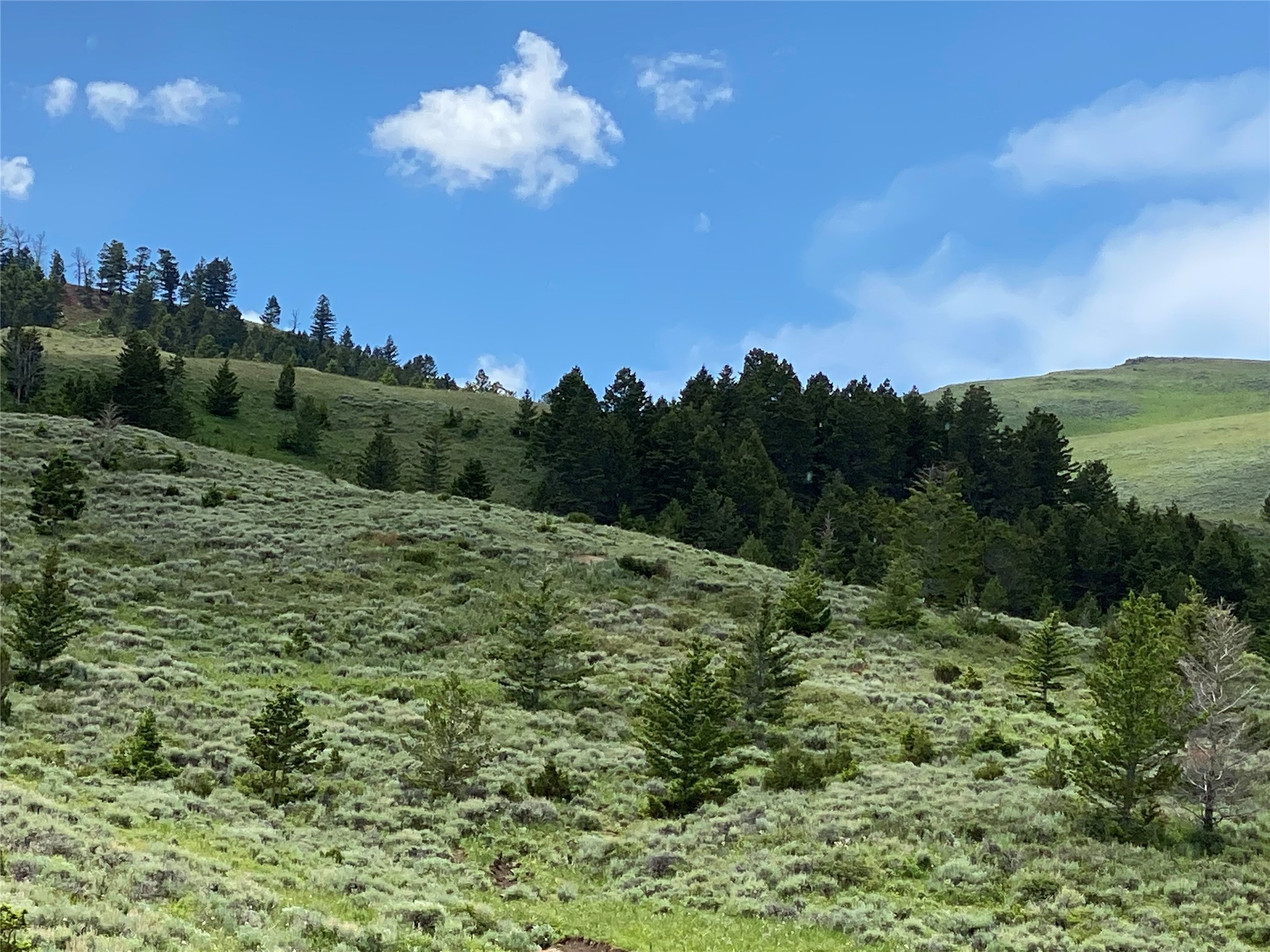 22. 320+/- Ac High In The Gravelly Mountains