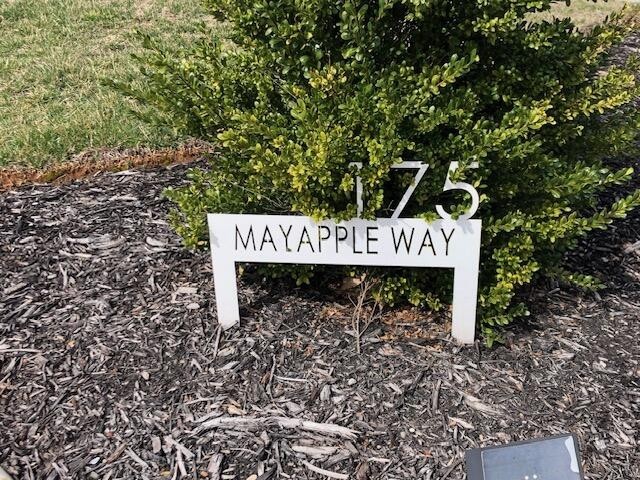 2. 175 Mayapple Way