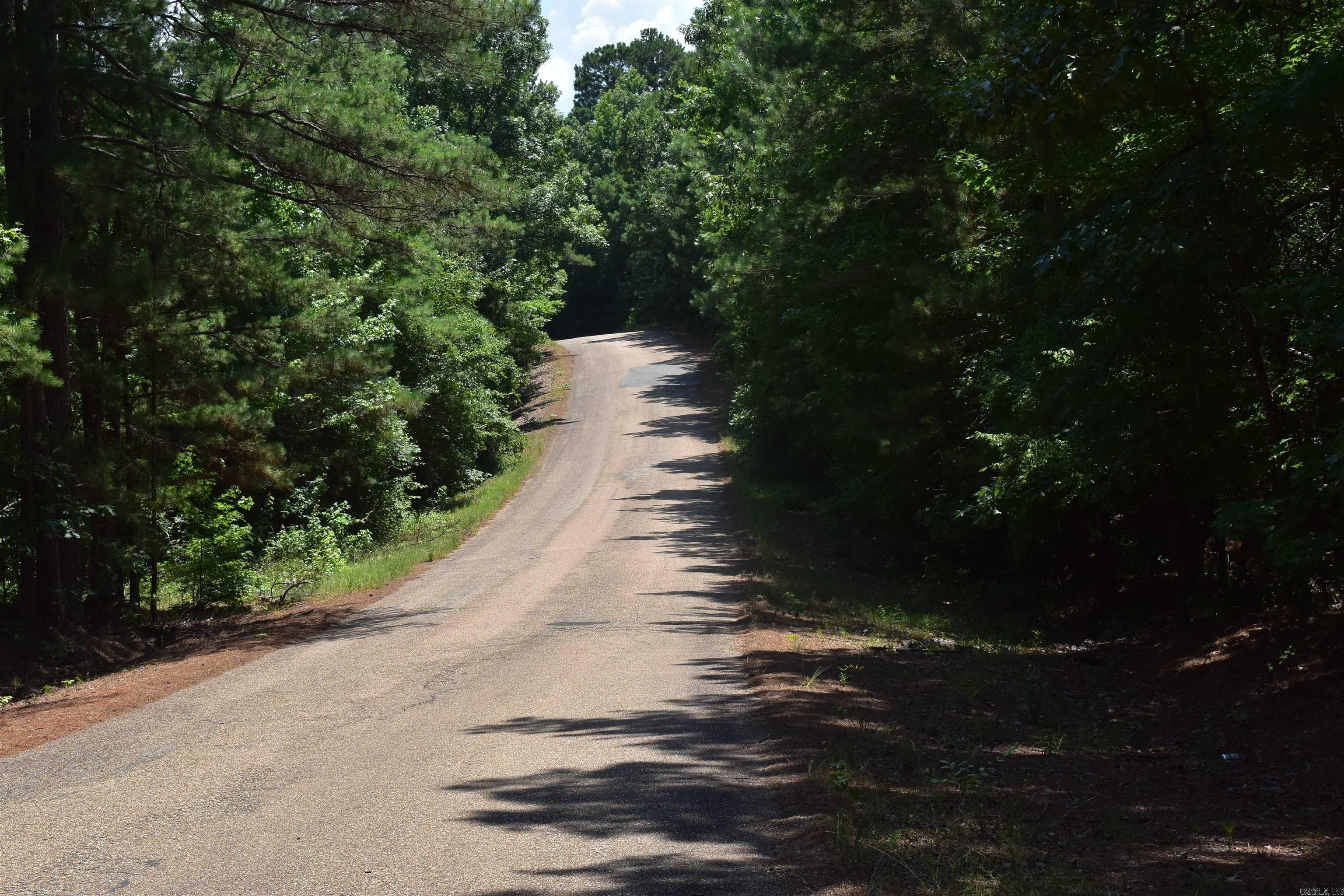 2. 1000 Ouachita 25 Road