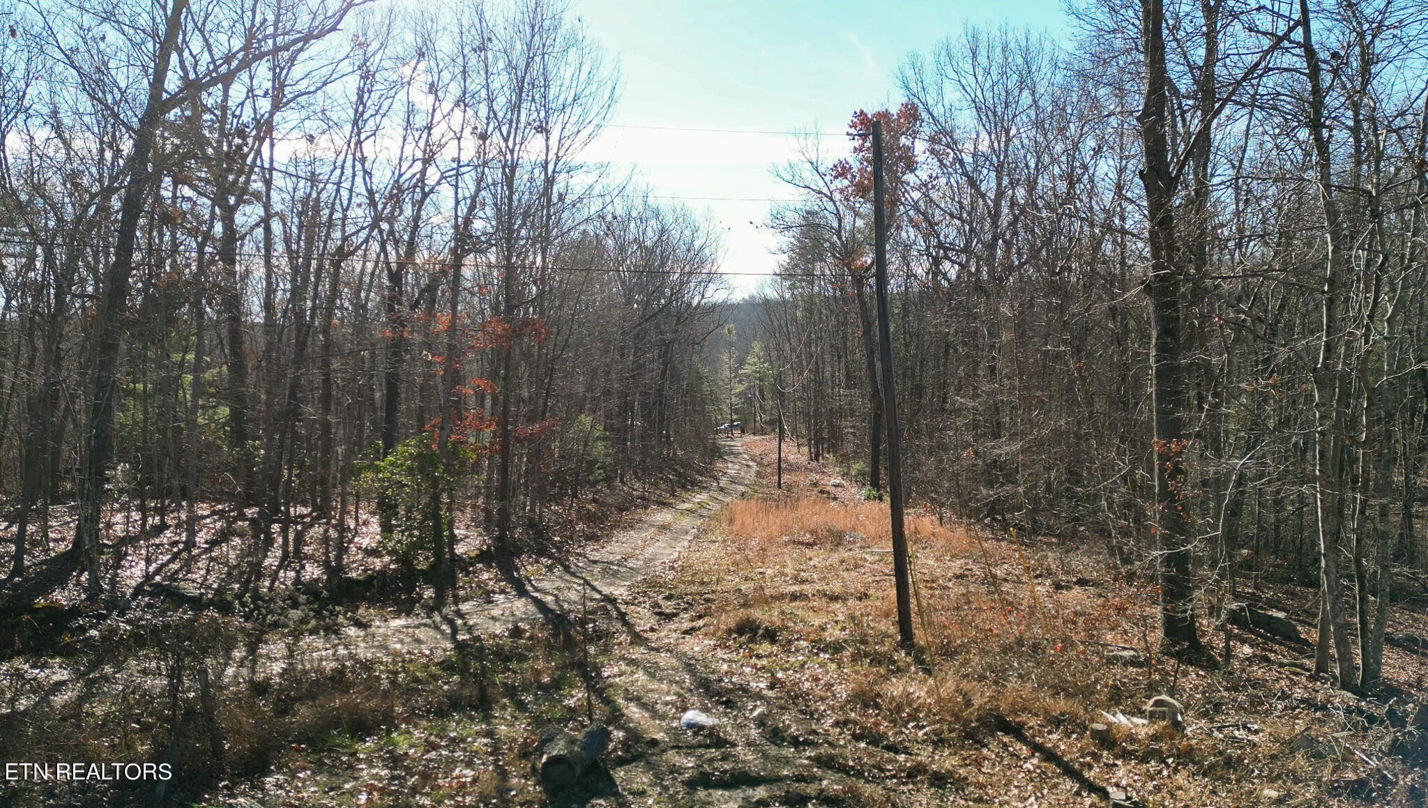 7. 4.25 Acres Red Bud Lane