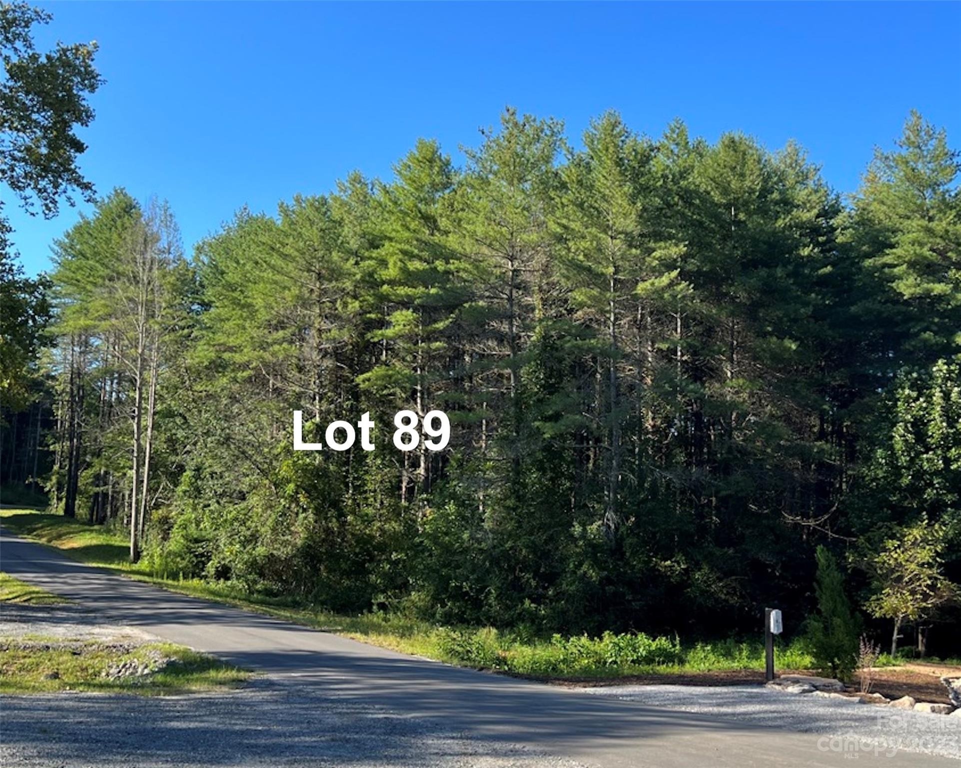 1. 8.325 Acres Lot 89 Round Mountain Parkway