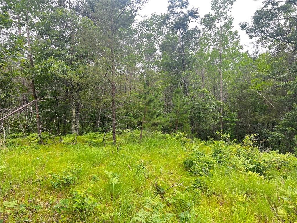 1. Lot 7 Whitetail Drive