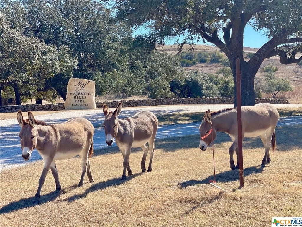 13. Lot 112 Star Point Circle