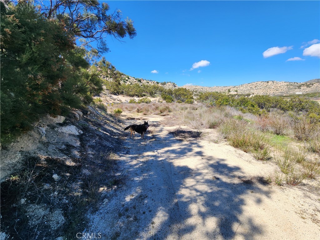 14. 48374 Indian Trails Road