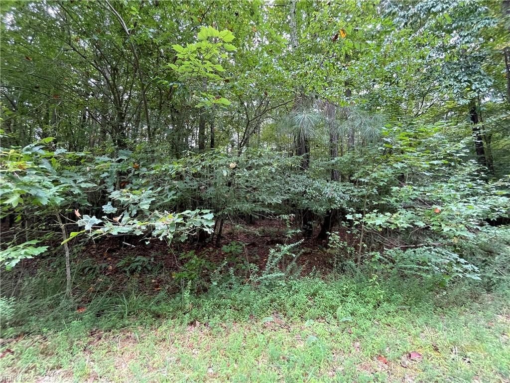 5. 5 Acre Beech Creek Road