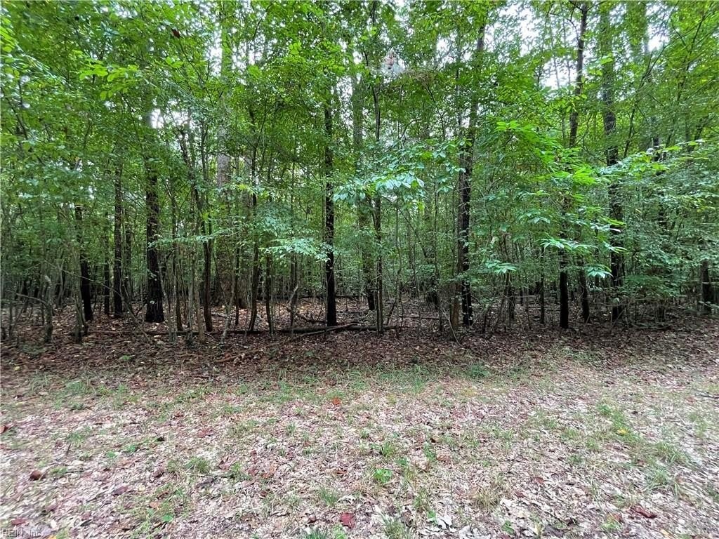 1. 5 Acre Beech Creek 5ac Road