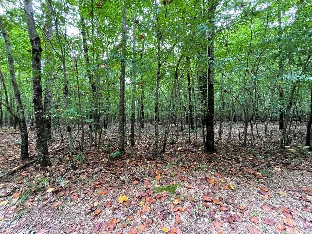 3. 5 Acre Beech Creek Road