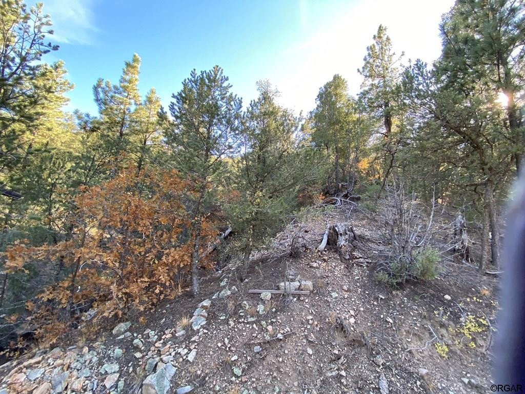 2. 40 Acres Mcclure Gulch Road