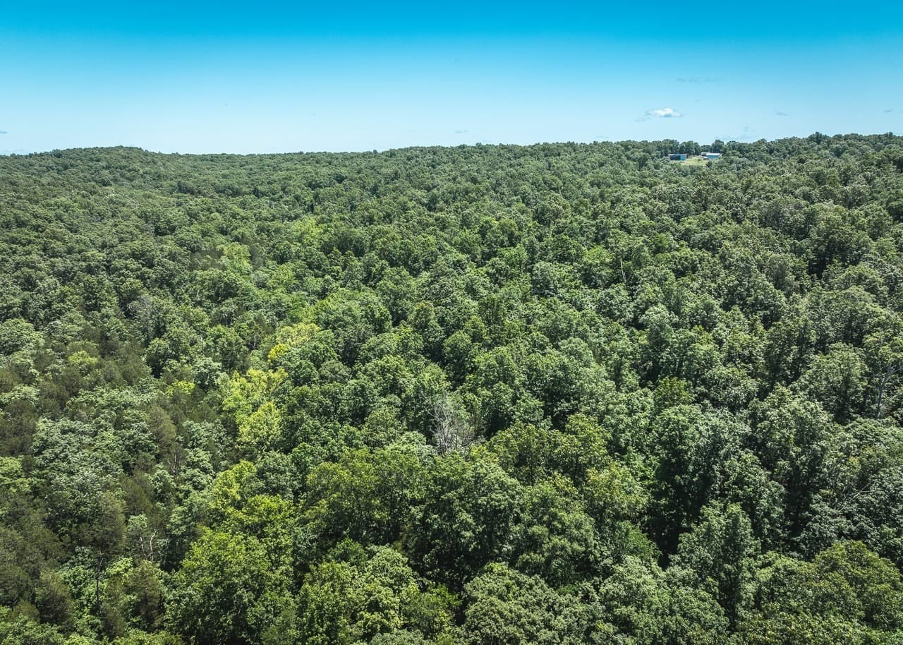 1. 29.25 Acres Off Hillside Rd