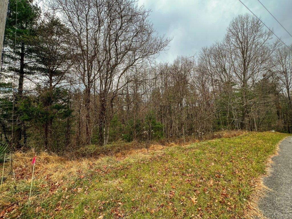 1. Lot 115 Old Hollow Trail