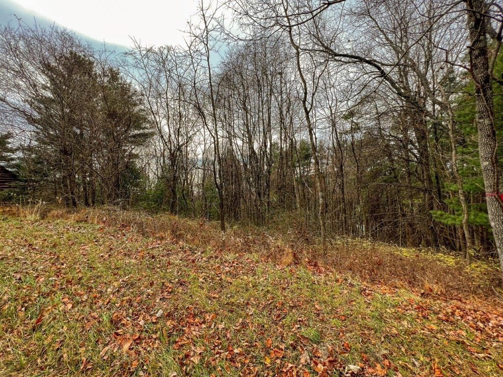 2. Lot 115 Old Hollow Trail
