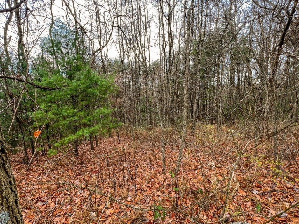 5. Lot 115 Old Hollow Trail