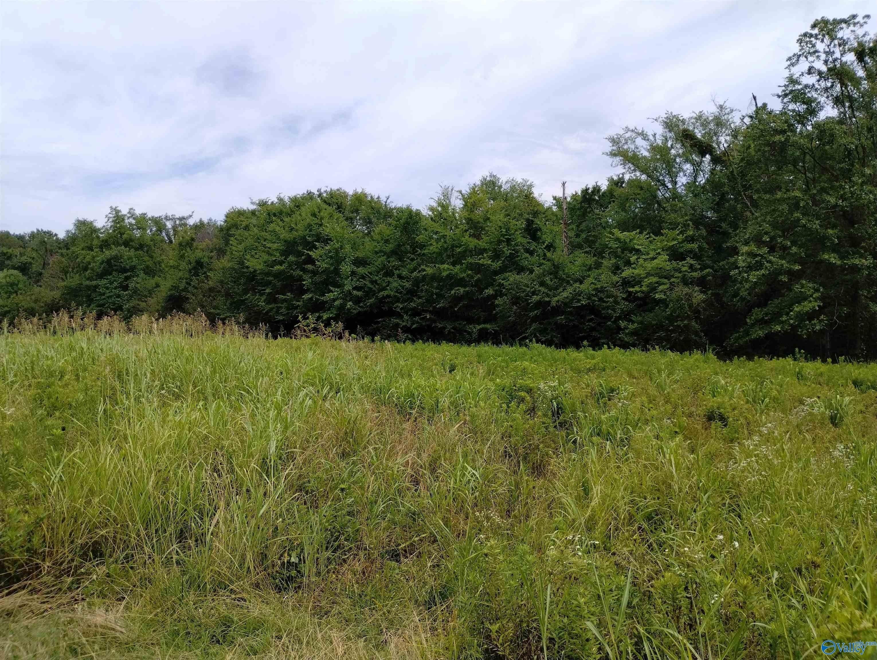 1. 23.3 Acres Union Grove Road