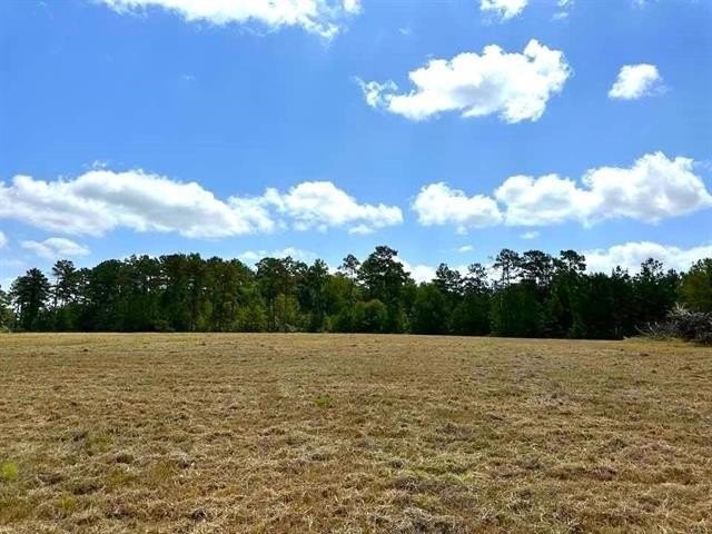 1. Tbd Lakeland Ranch Lot 84