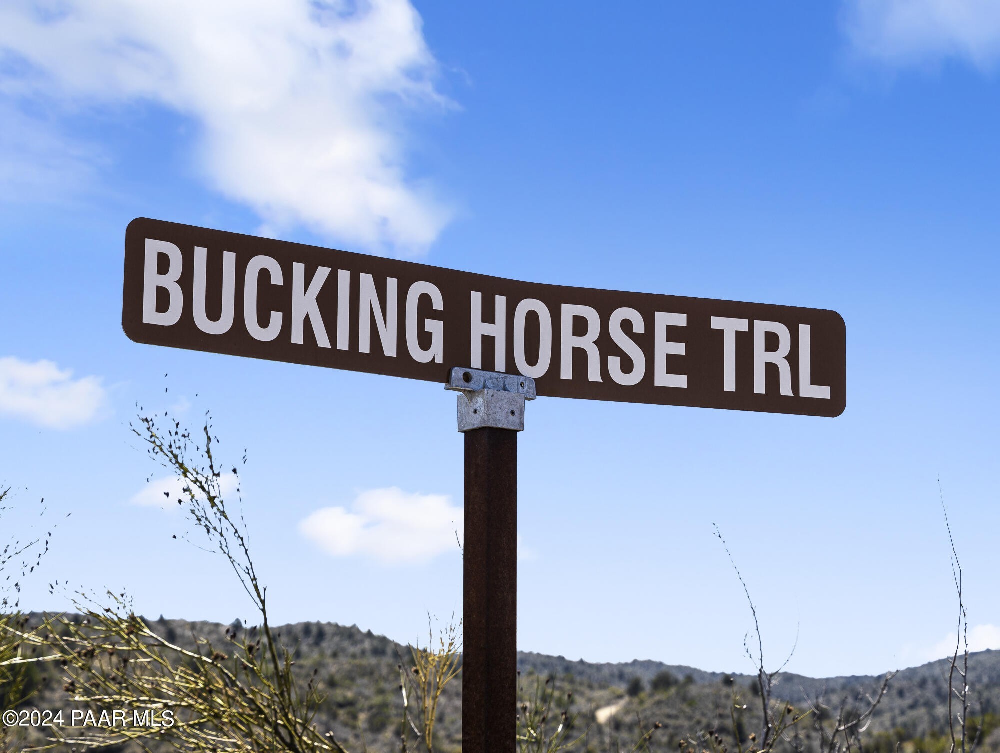 20. 0000 W Bucking Horse Trail