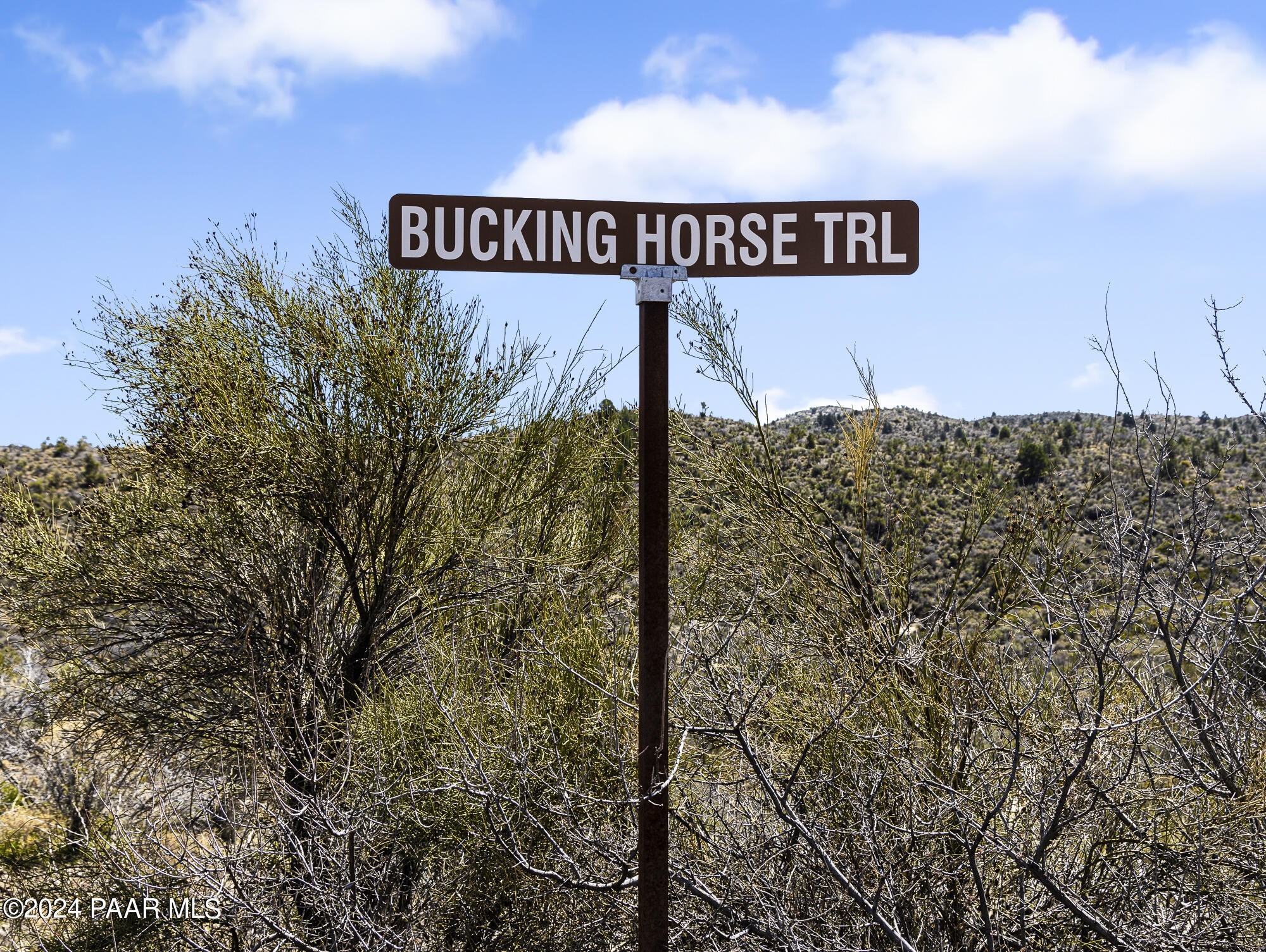 26. 0000 W Bucking Horse Trail