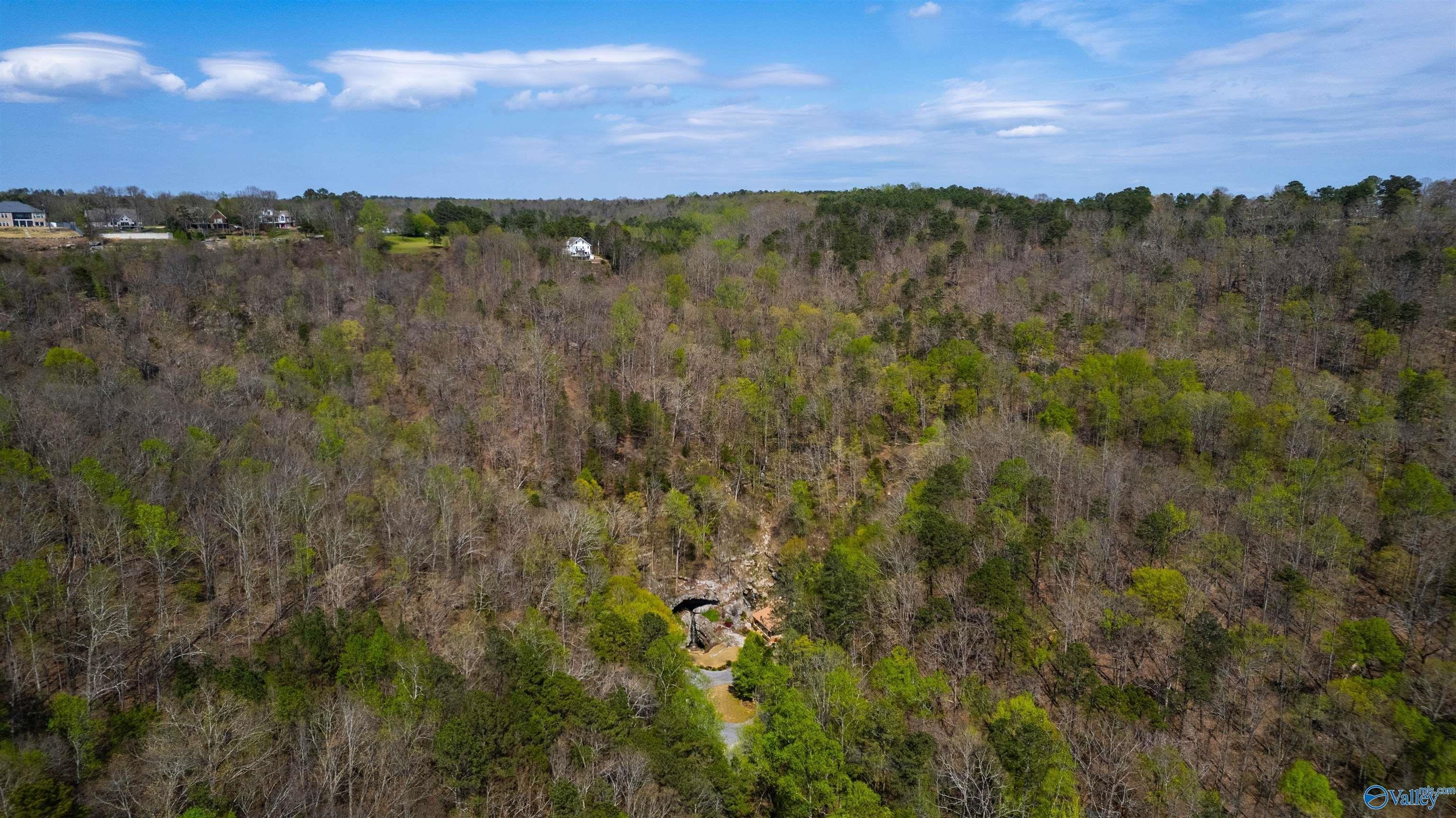 47. 100 Natural Bridge Lane