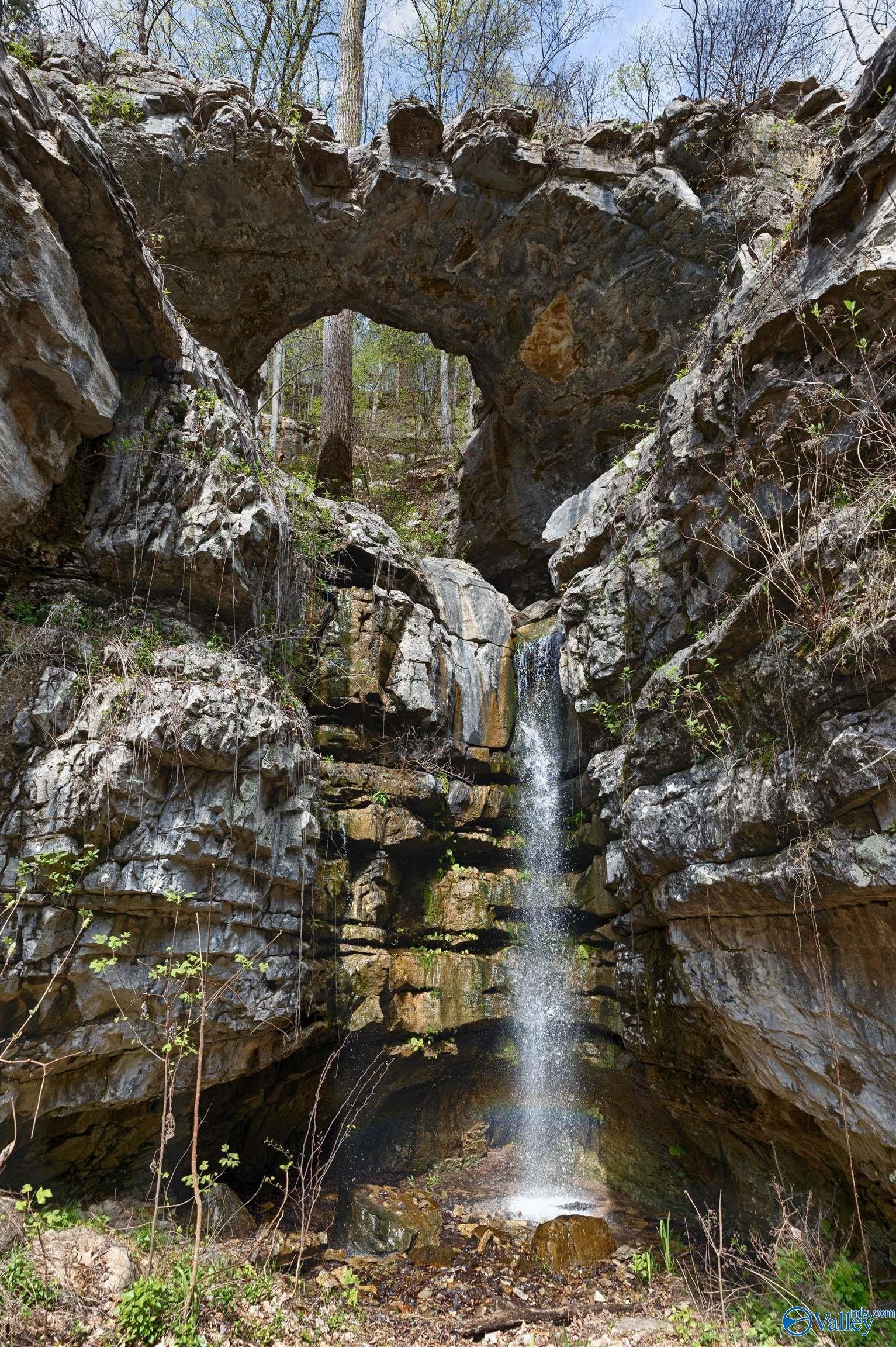 36. 100 Natural Bridge Lane