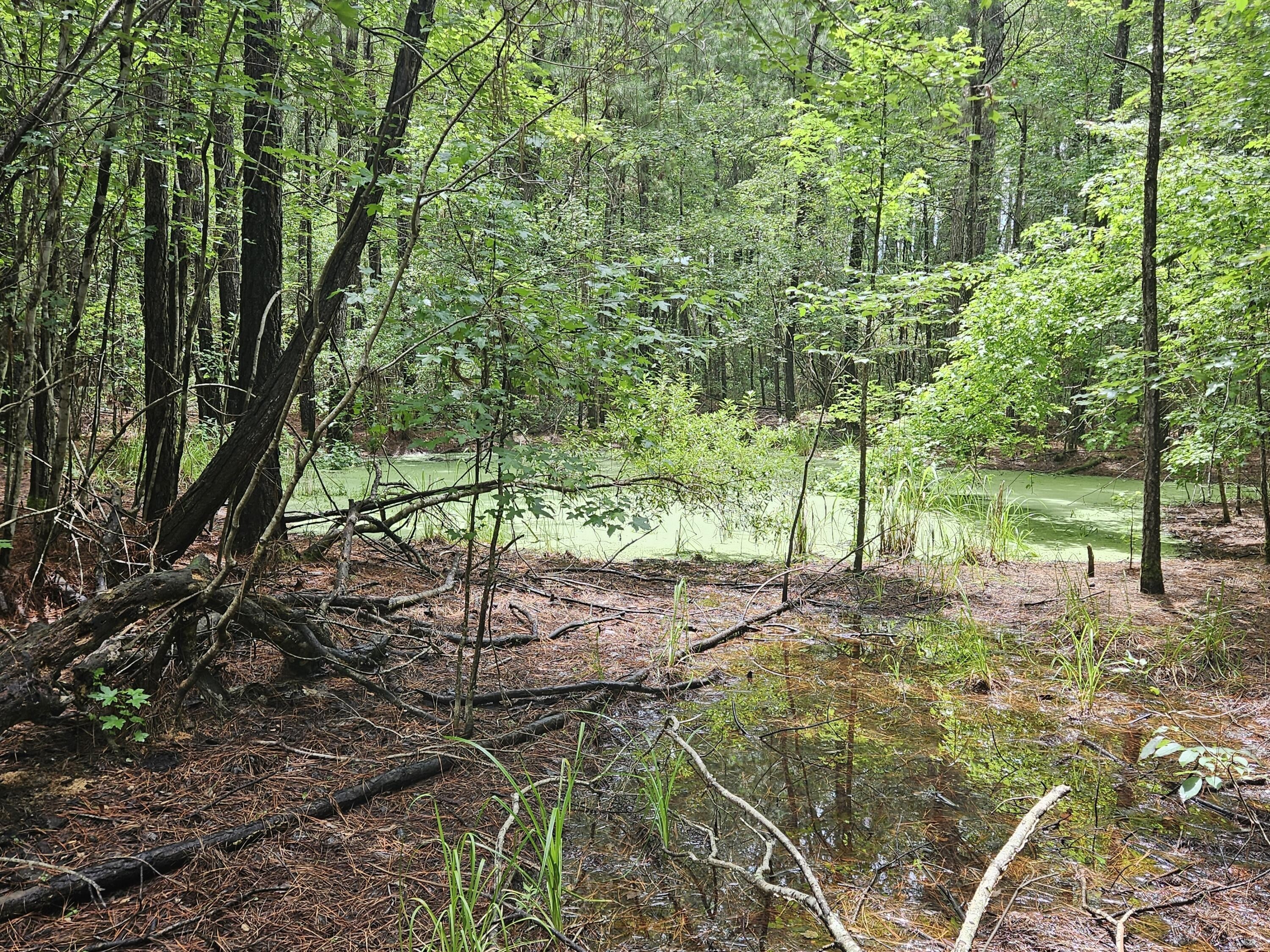 2. 208 Edisto Dane Lane