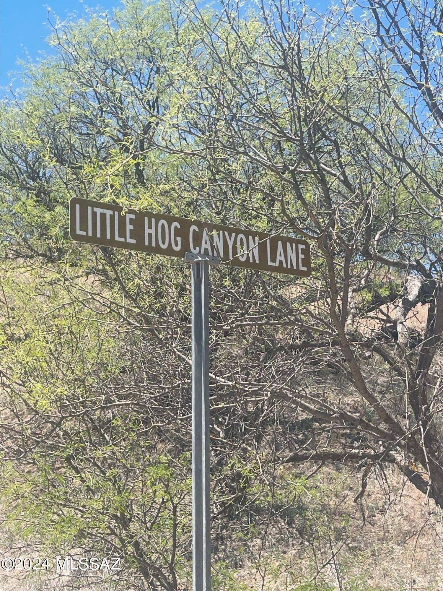 1. 4 Hog Canyon