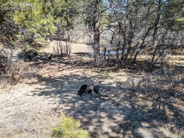 14. Lot B3-A Spruce Mountain Road