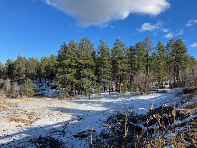 2. 5 Acres Nm 94