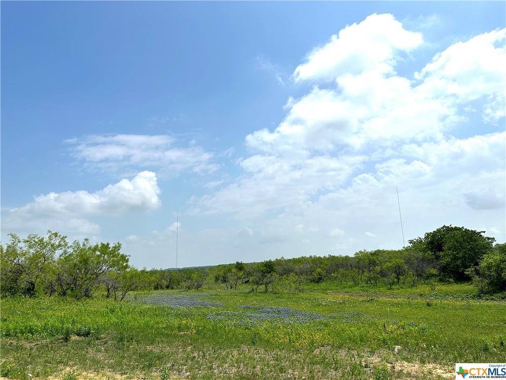 5. 11.1 Ac. Tract 6 Tower Drive