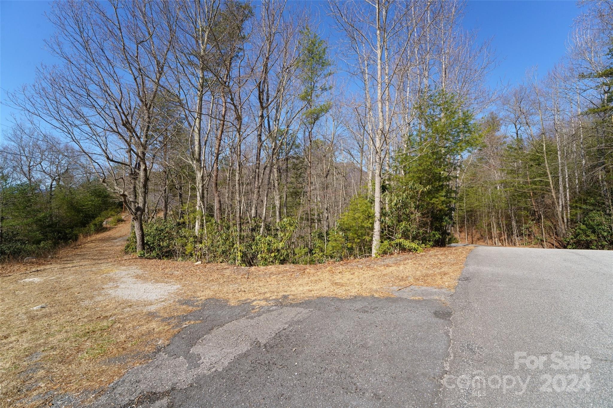 6. Lot 13-C Nantahala Way