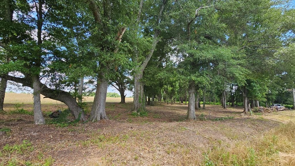 50. 4 Acres County Rd 92   Lot 8