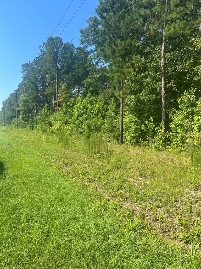 8. 0 Summerton Hwy, Lot 3