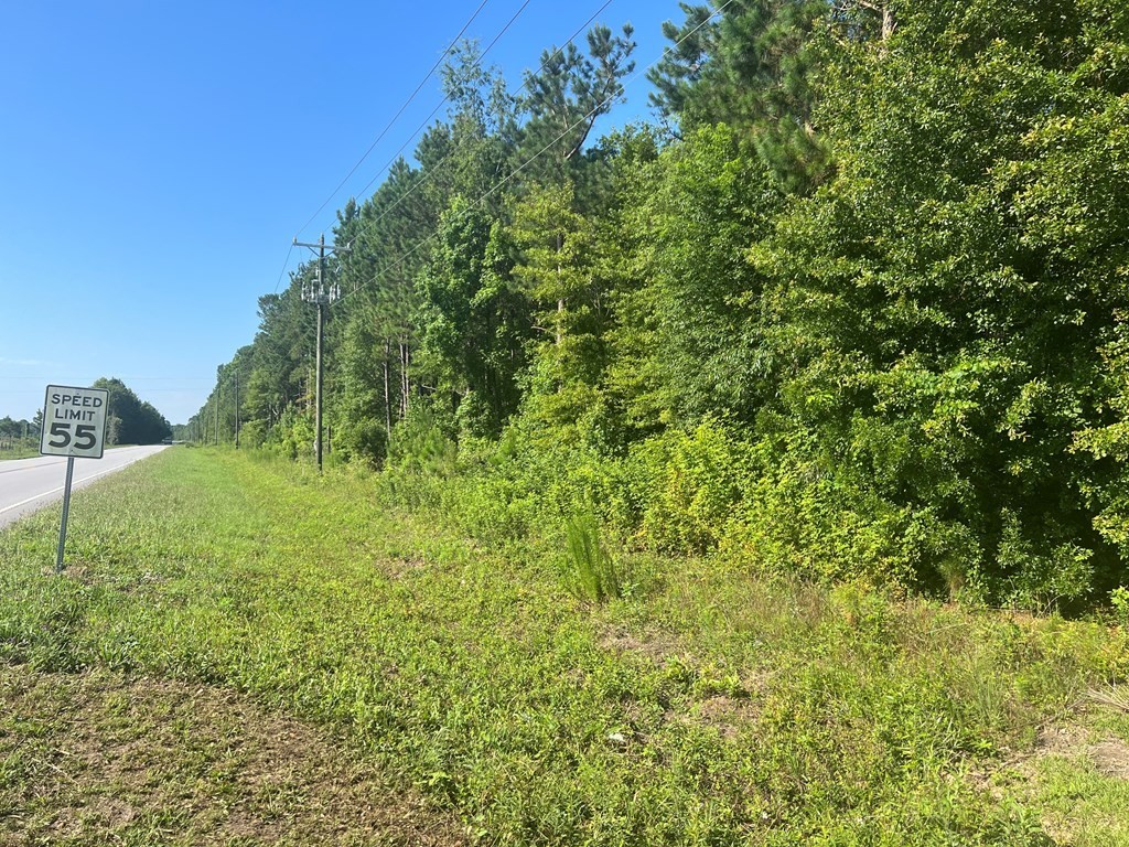 2. 0 Summerton Hwy, Lot 3