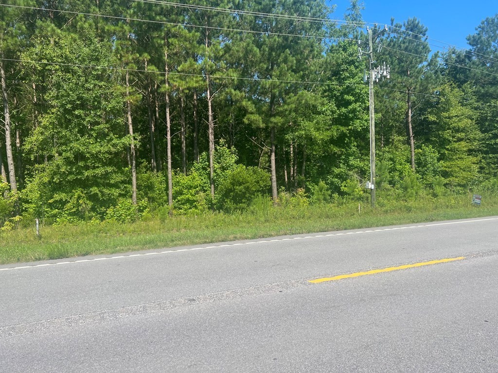 4. 0 Summerton Hwy, Lot 3