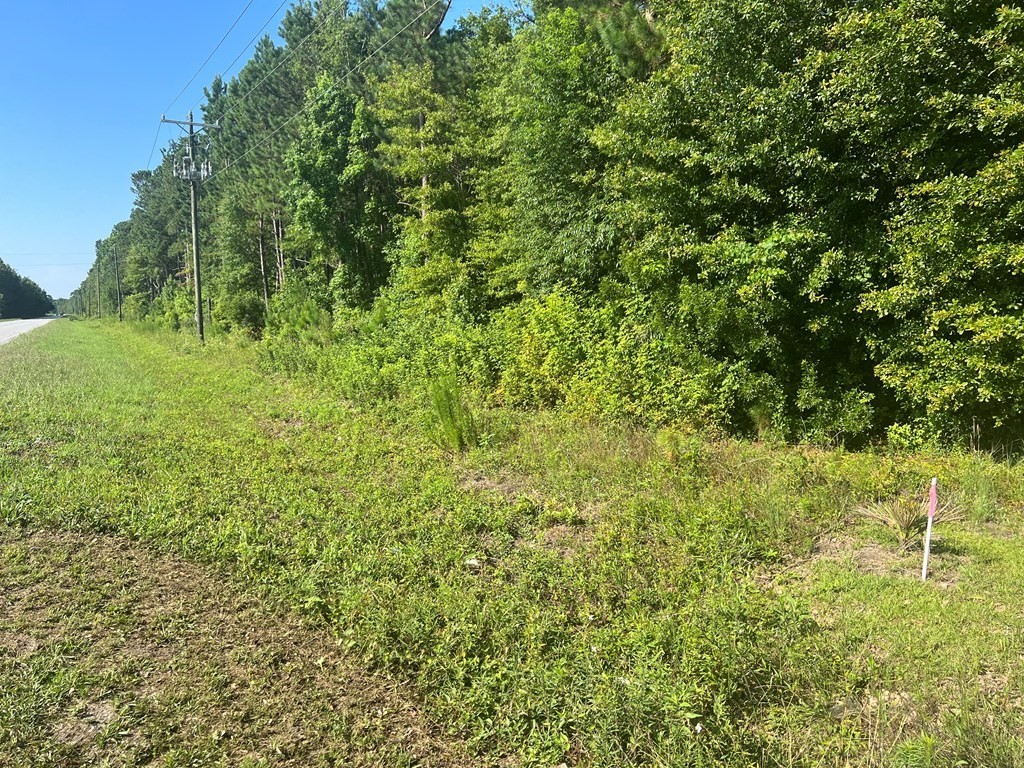 3. 0 Summerton Hwy, Lot 3