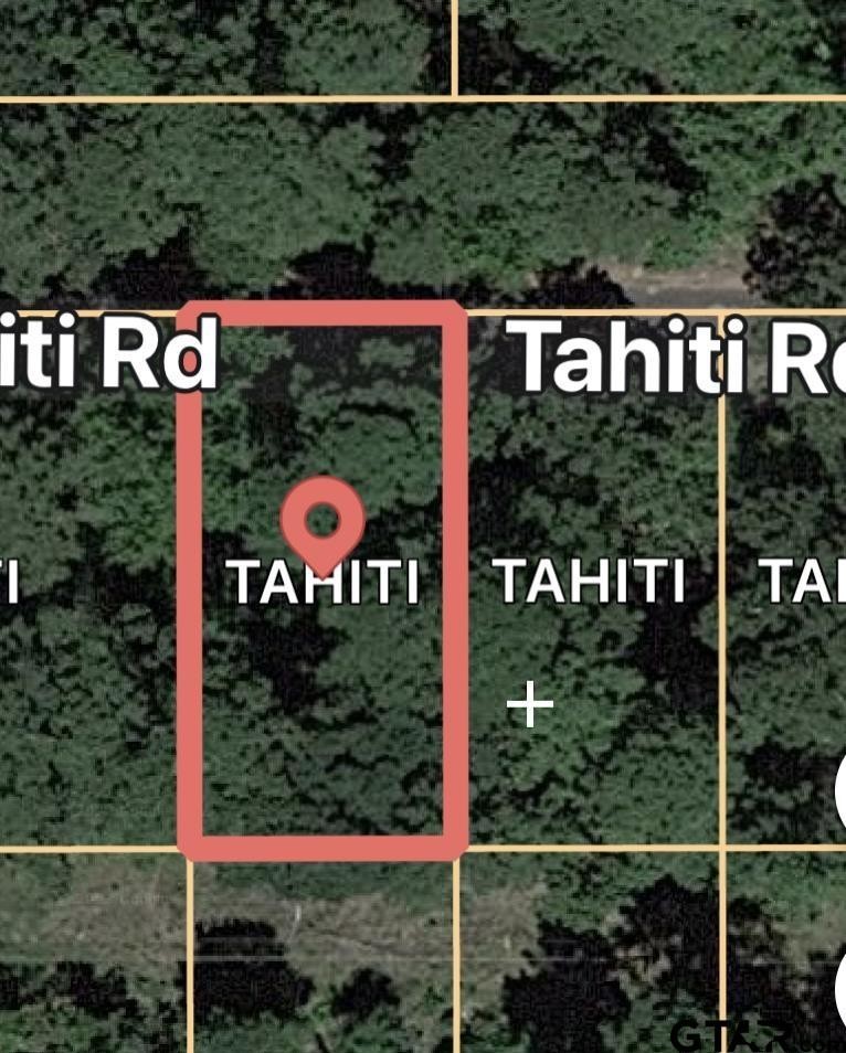 1. Lot 339 Tahiti Dr