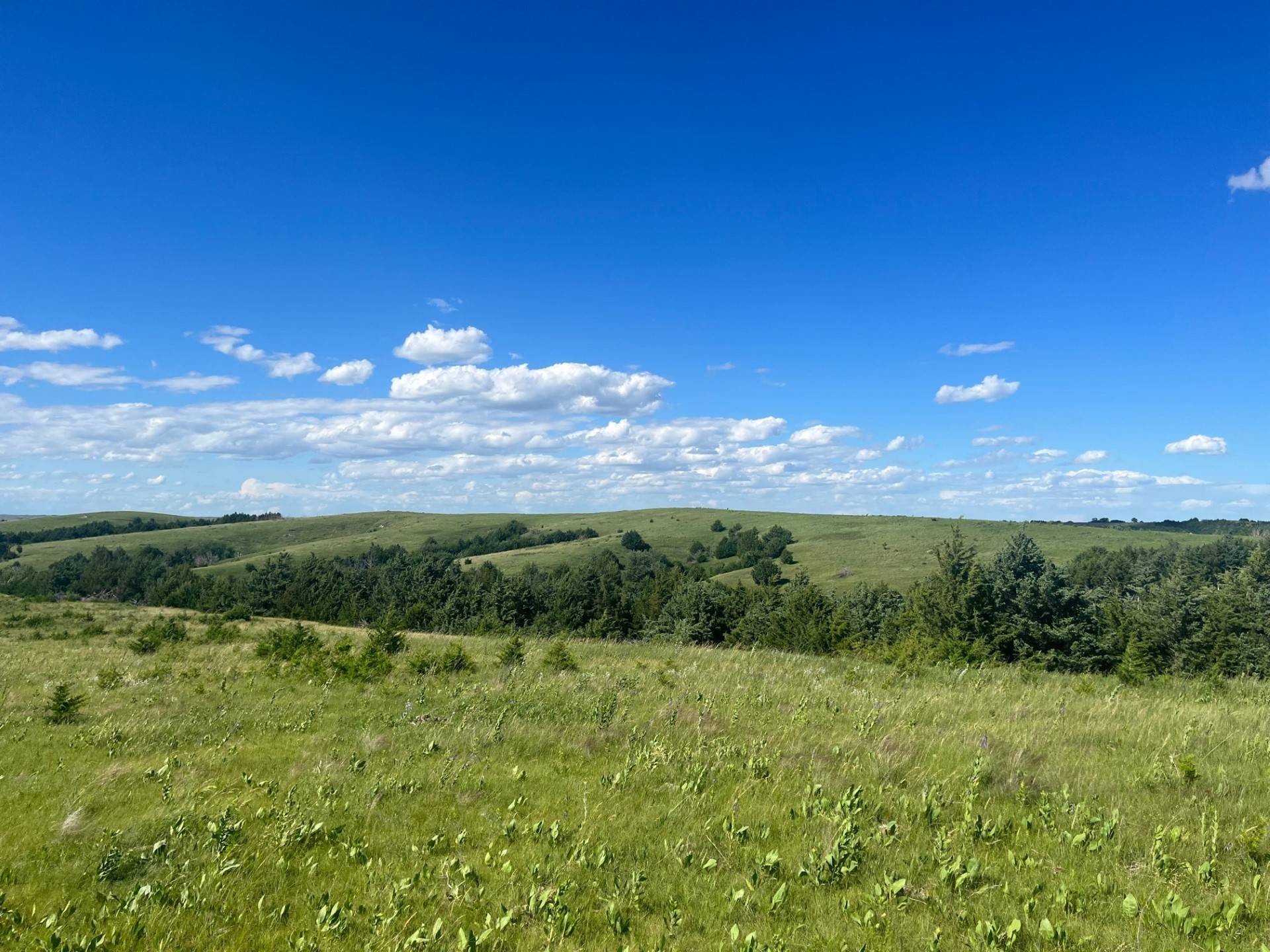 25. 413.92+/- Acres In Custer County, Nebraska