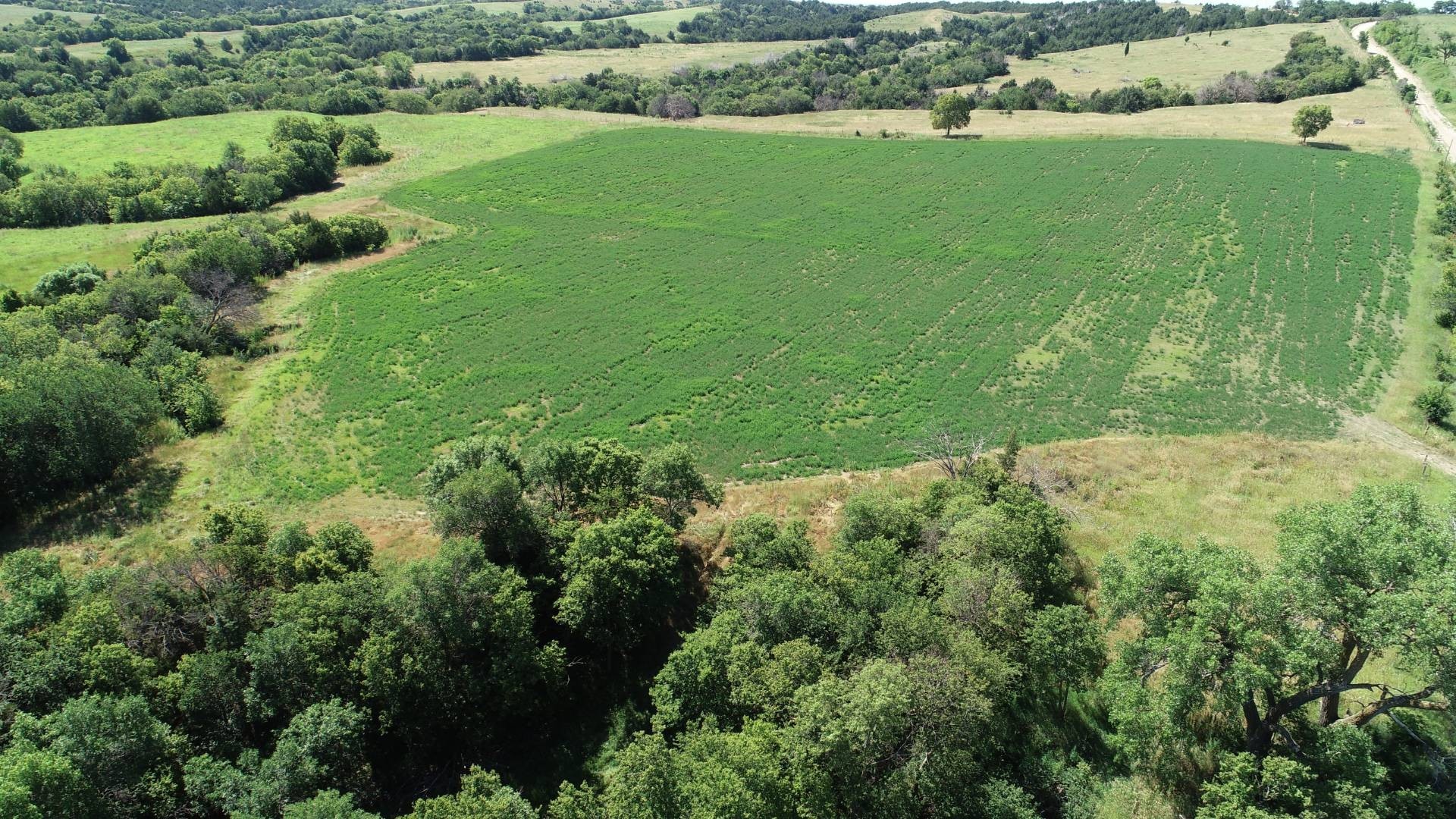 4. 413.92+/- Acres In Custer County, Nebraska