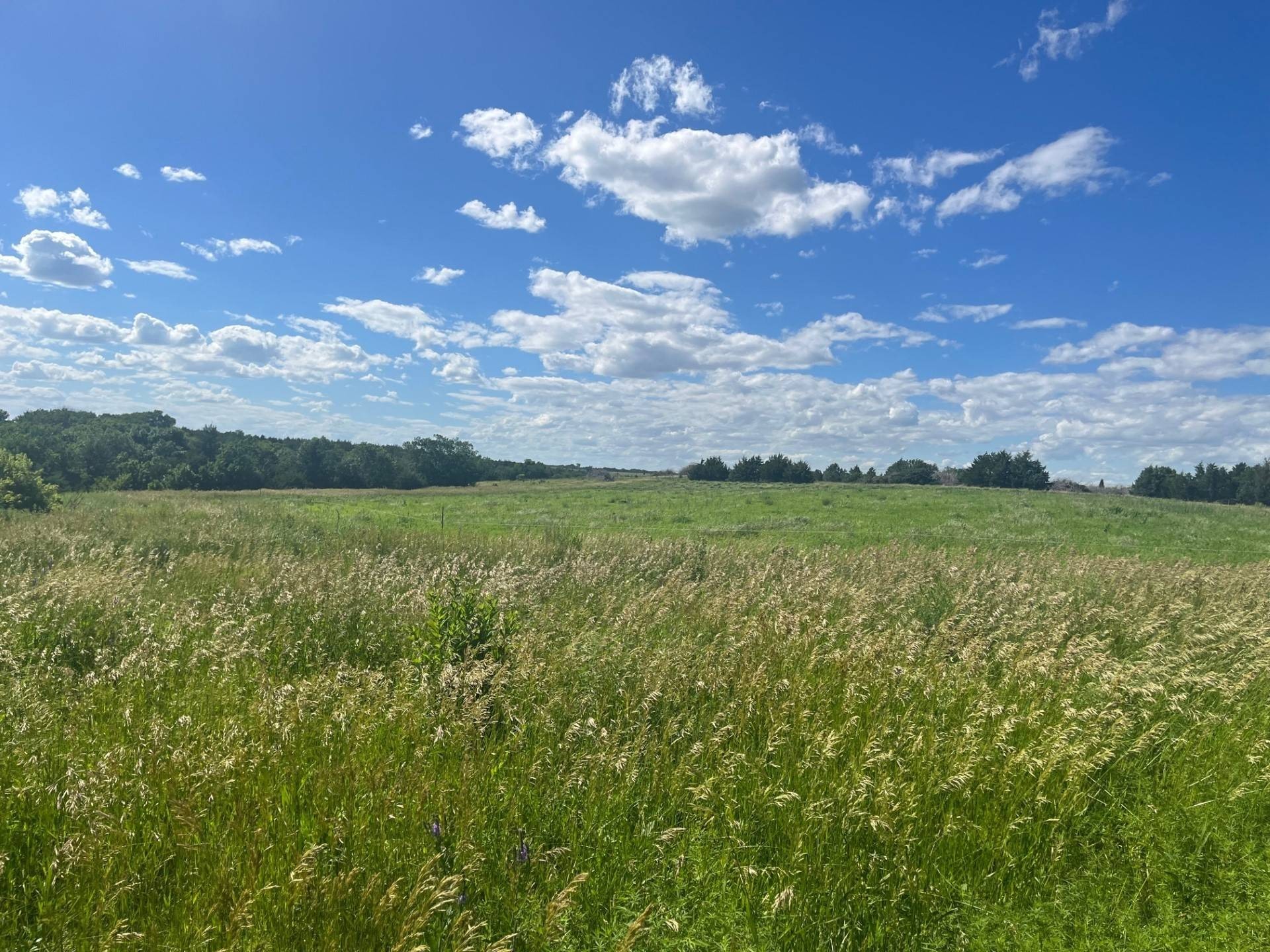 17. 413.92+/- Acres In Custer County, Nebraska