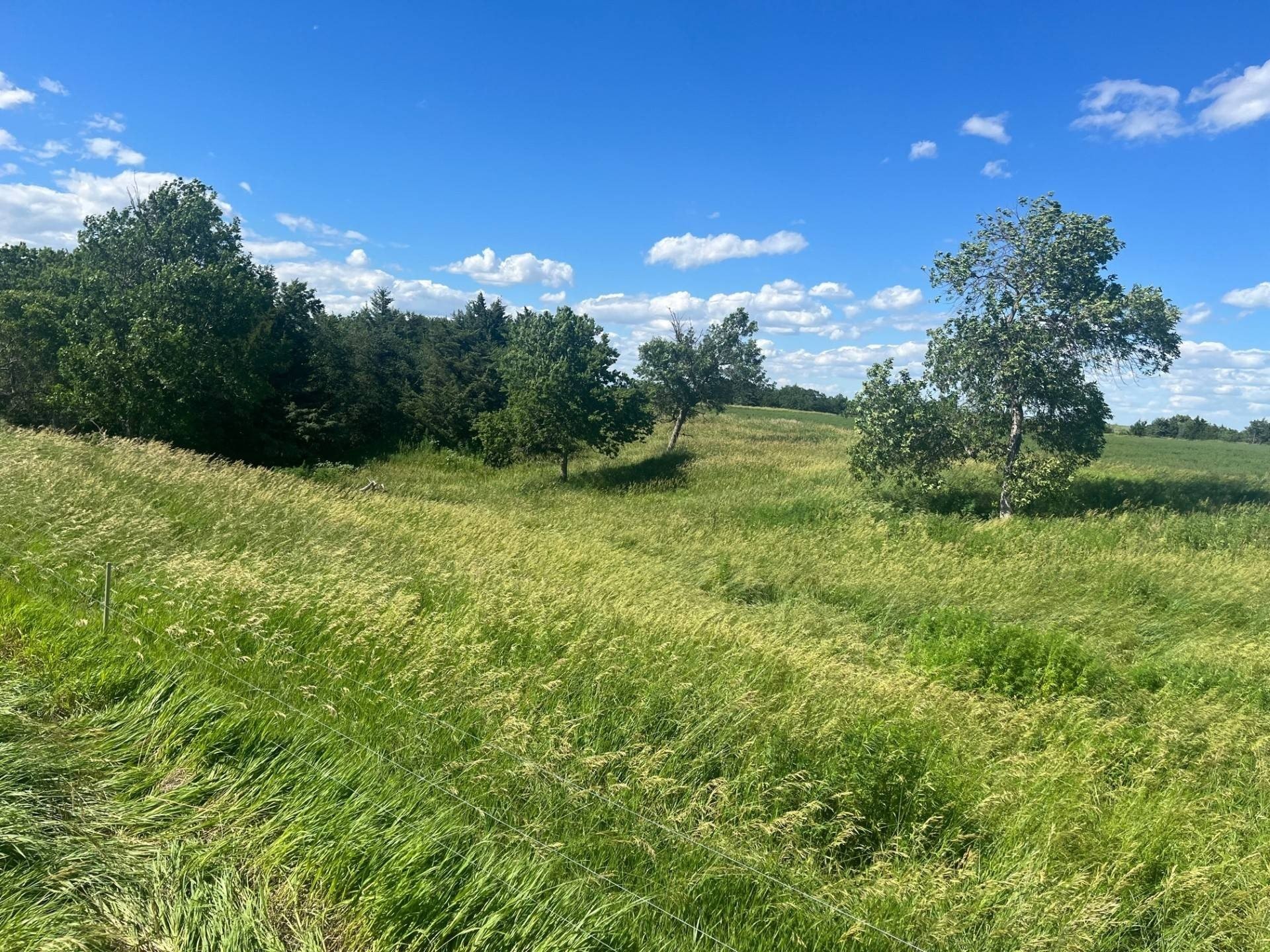 14. 413.92+/- Acres In Custer County, Nebraska