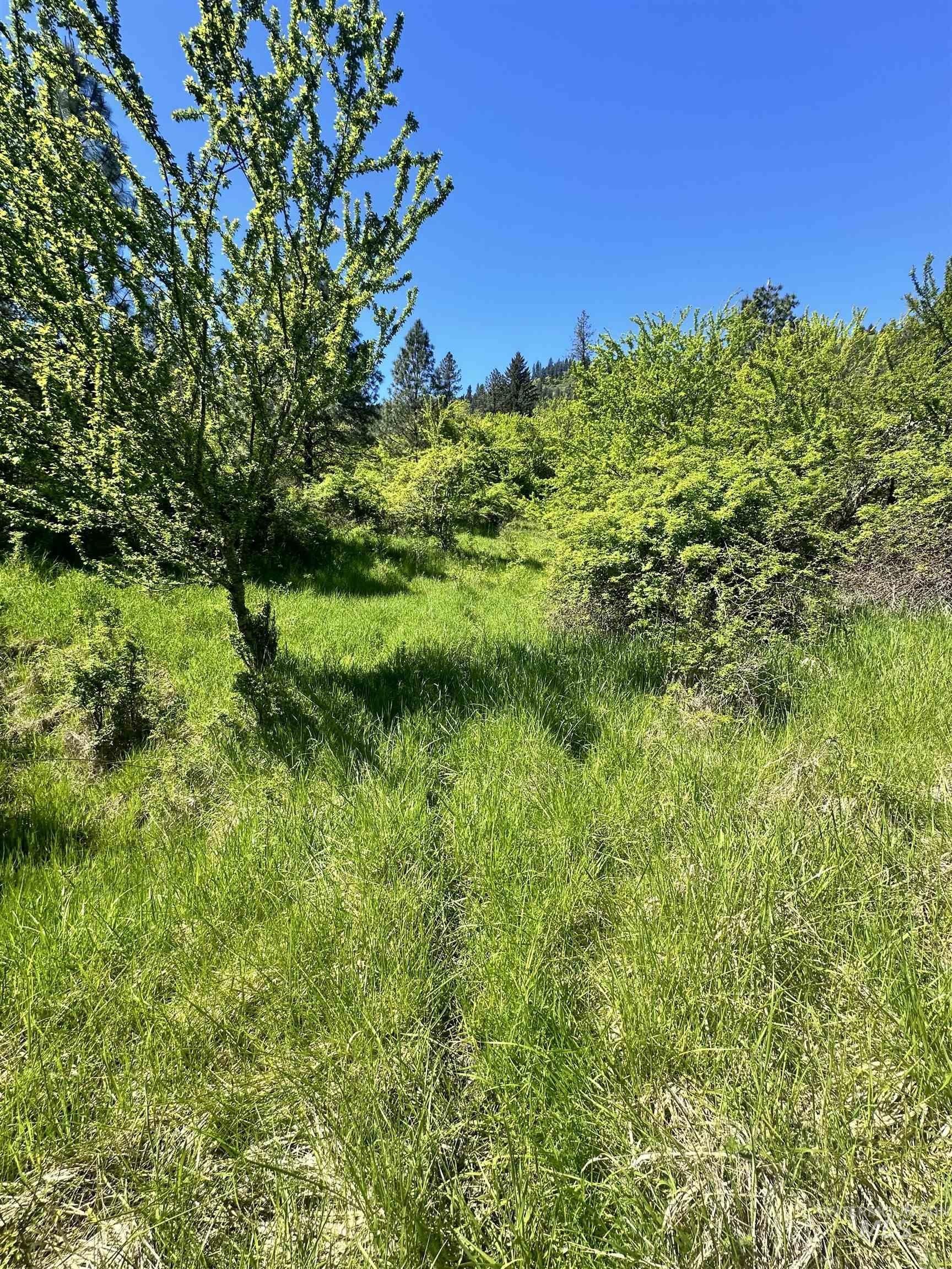 4. Tbd River View Lane 2.87 Ac