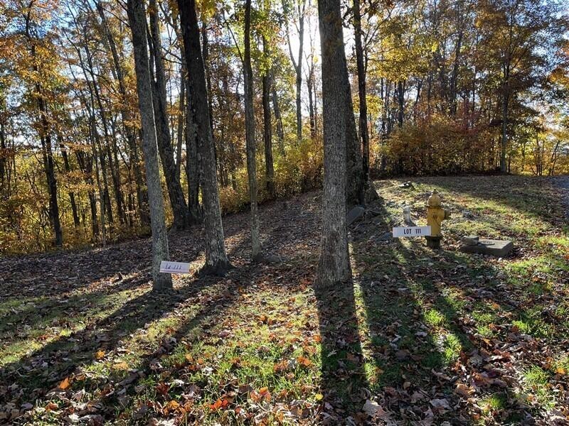 2. Lot 111 Trillium Ln