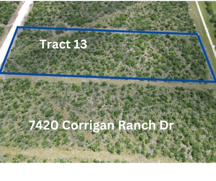 1. 7420 Corrigan Ranch Drive- Tract 13