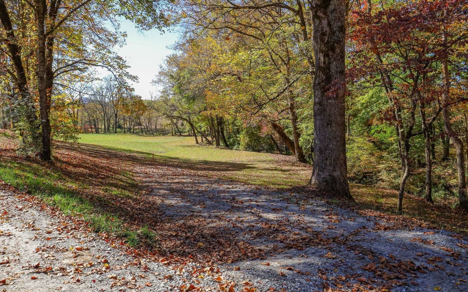 11. Lot 6 Hinton Overlook