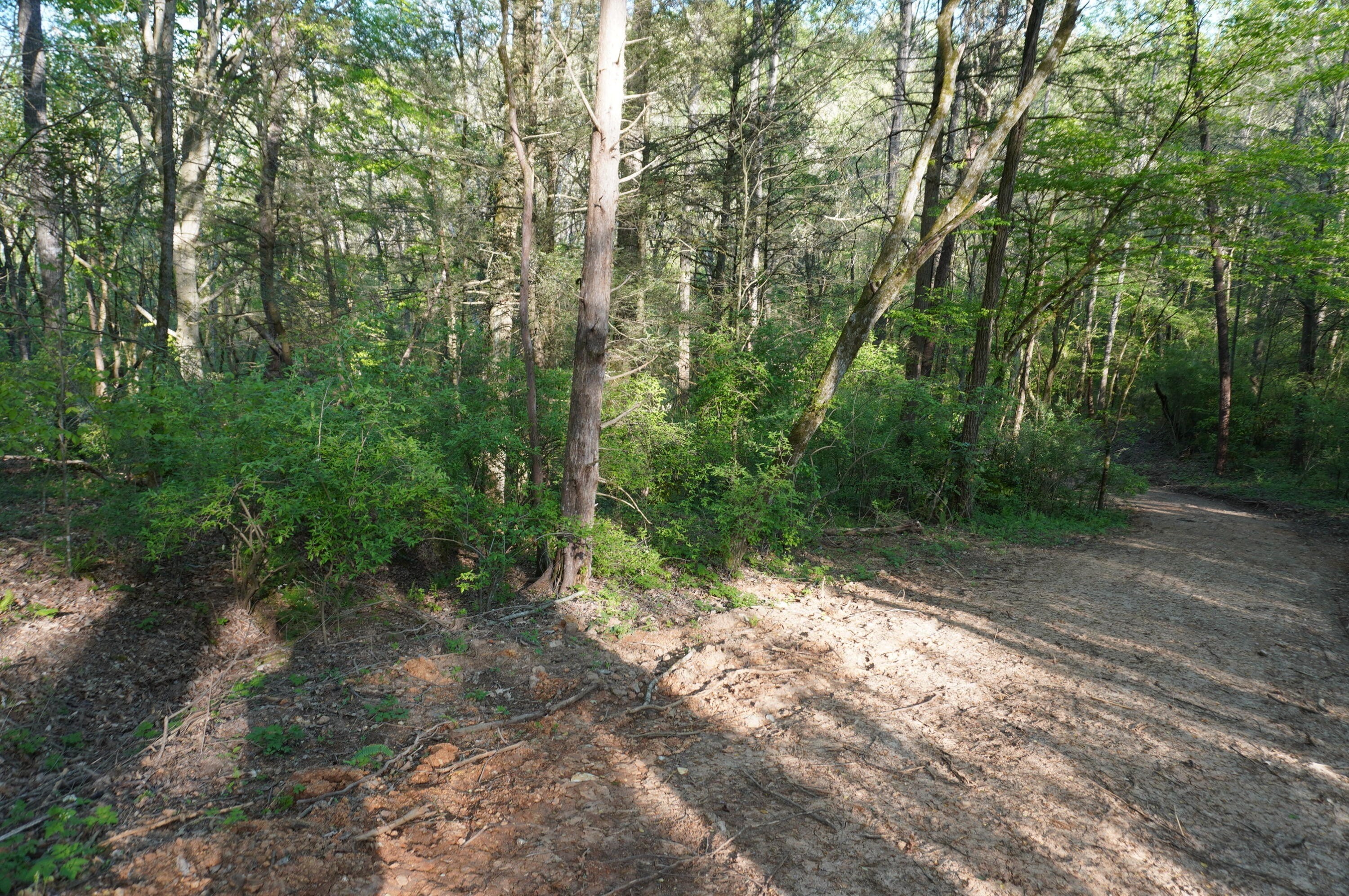 9. Lot 1a Golf Course Road