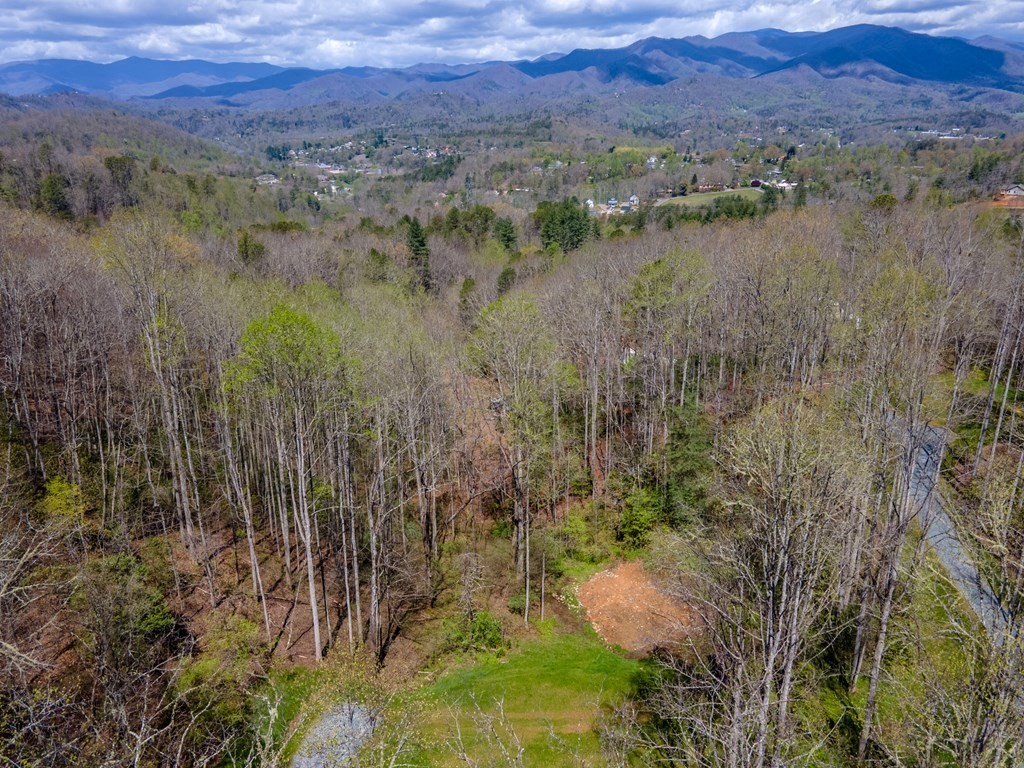 14. Lot 15 Bryson Gap Preserve